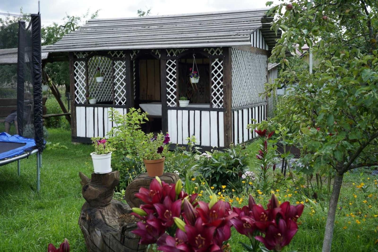 Садиба Файна Гофа Verhovîna Exterior foto