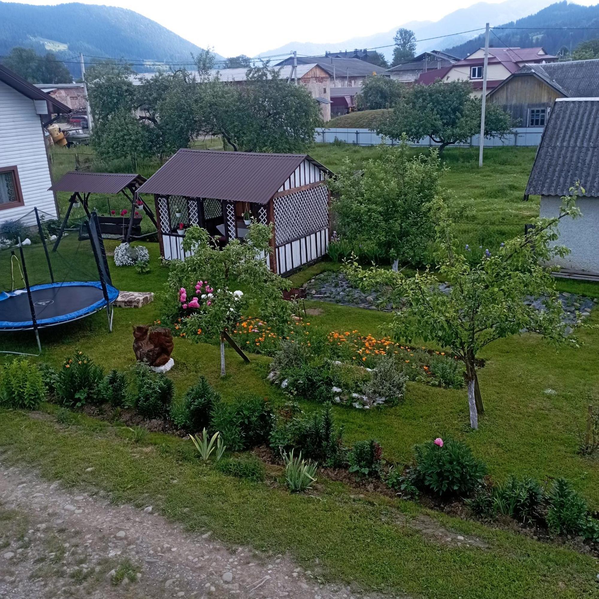 Садиба Файна Гофа Verhovîna Exterior foto